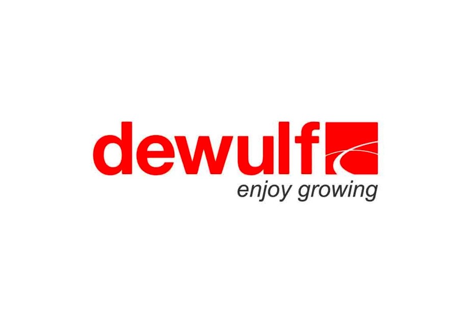 Dewulf Miedema